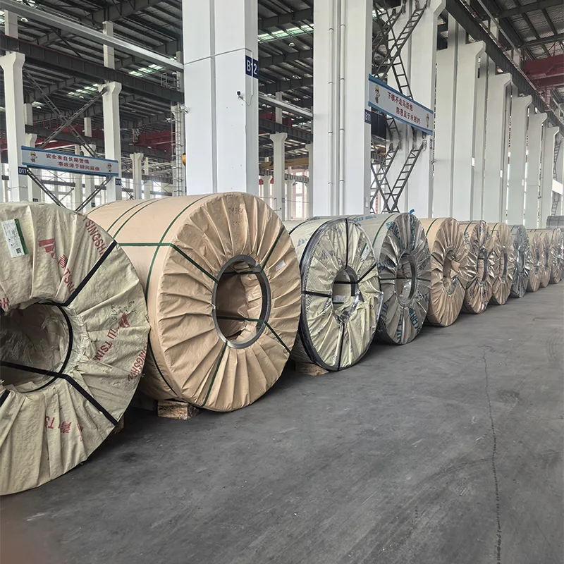 254 Stainless Steel Coils
